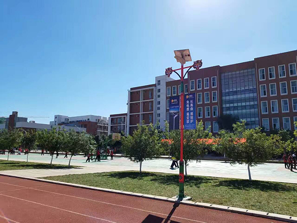 太陽能路燈，太陽能路燈廠家，太陽能路燈價(jià)格