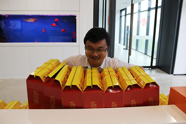 太陽能路燈，太陽能路燈廠家，太陽能路燈價(jià)格