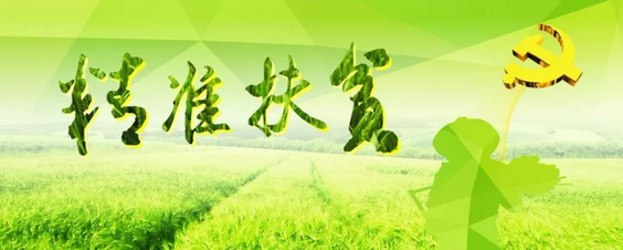 源碼助力來賓精準(zhǔn)扶貧，點(diǎn)亮新寨村幸福之路